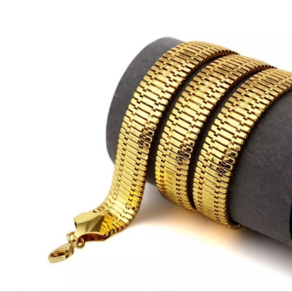 Galvanized Fish Bone Chain Necklace - Picture 4 of 4